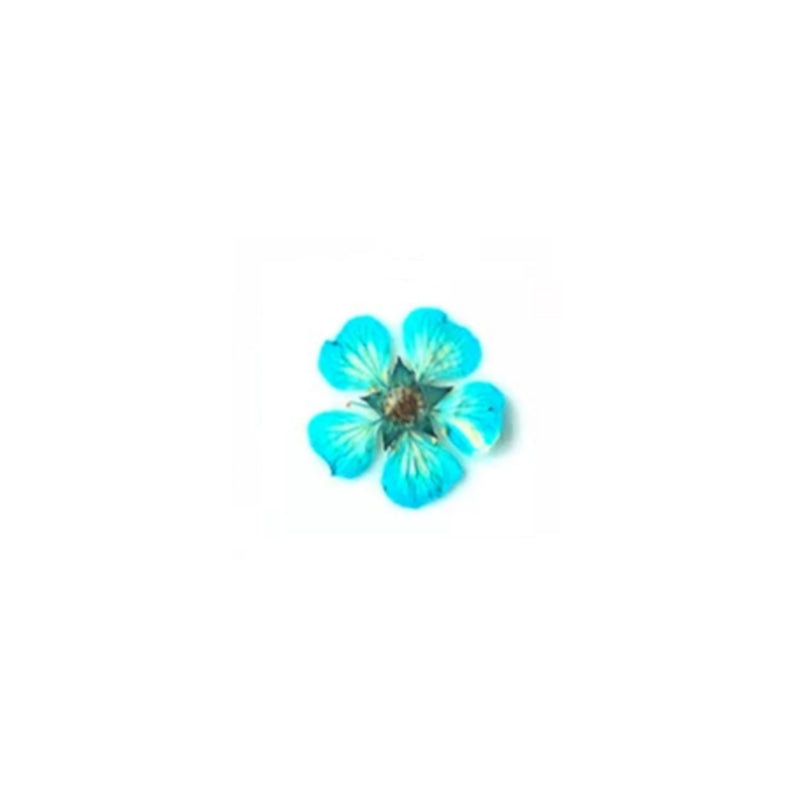 https://cdn.myonlinestore.eu/93ee00cb-6be1-11e9-a722-44a8421b9960/image/cache/full/16616ec84e52fc4c53750a29e7da01bcc223a7a8.jpg