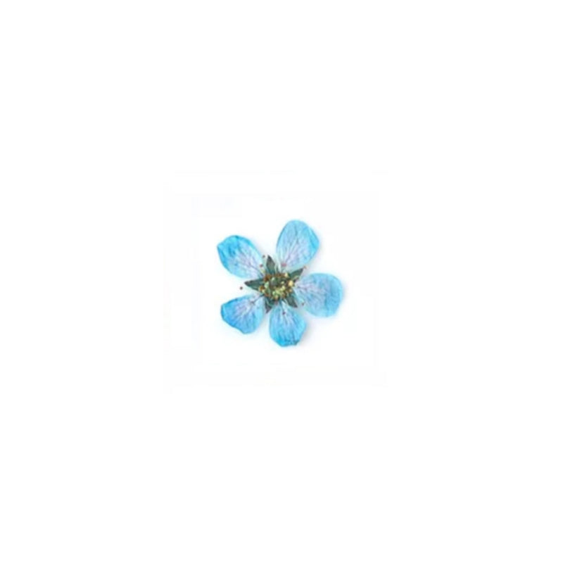 https://cdn.myonlinestore.eu/93ee00cb-6be1-11e9-a722-44a8421b9960/image/cache/full/d53544a10390dd1cd02f11e0431e2964931193bb.jpg?20260521105409