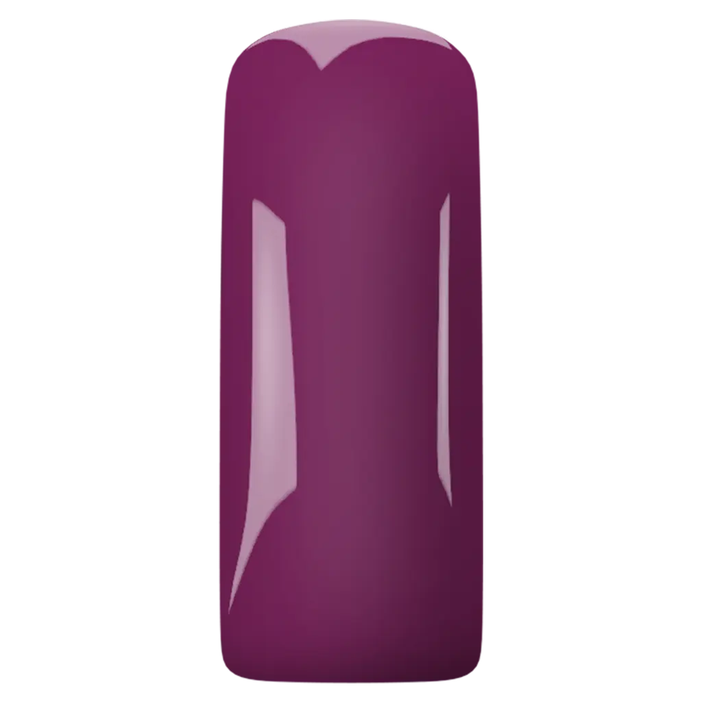 Magnetic Gelpolish Purple 4