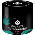 https://www.magneticnaildesign.com/media/catalog/product/cache/1bff77f2848147974384f51f65b98676/1/0/104136p.png