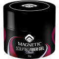 https://www.magneticnaildesign.com/media/catalog/product/cache/1bff77f2848147974384f51f65b98676/1/0/104144p.png