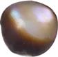 Shell Stone Drop