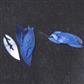 Shell Design Leaf Purple