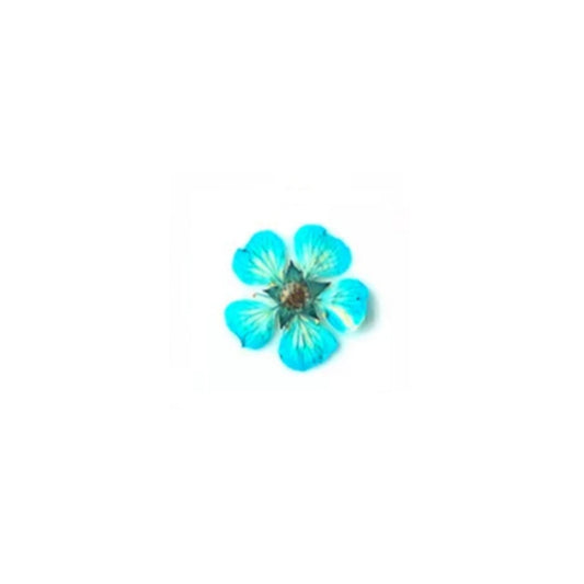 https://cdn.myonlinestore.eu/93ee00cb-6be1-11e9-a722-44a8421b9960/image/cache/full/16616ec84e52fc4c53750a29e7da01bcc223a7a8.jpg