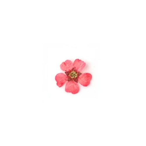 https://cdn.myonlinestore.eu/93ee00cb-6be1-11e9-a722-44a8421b9960/image/cache/full/2b69cdb5e87625c9bc4057bdaf2fefab2d1ef420.jpg?20260521105409
