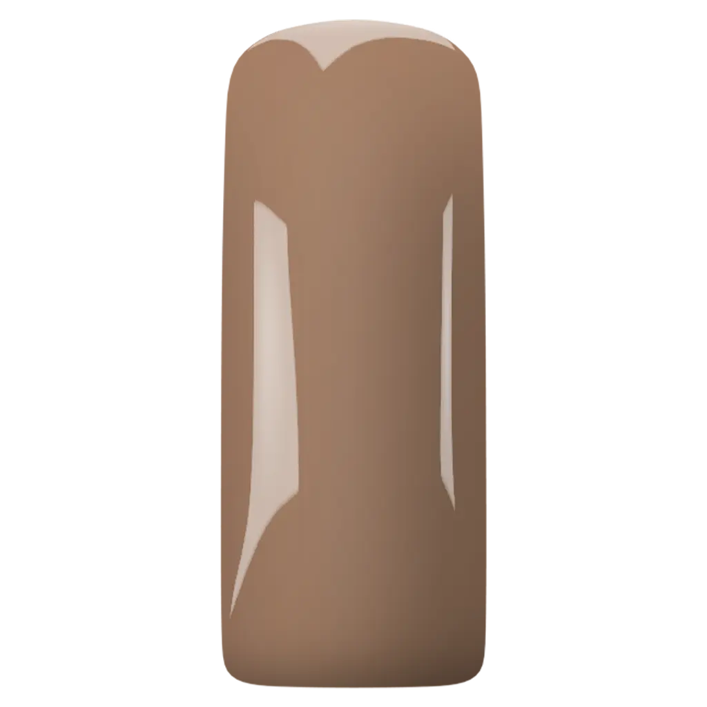 Magnetic Gelpolish Brown 5