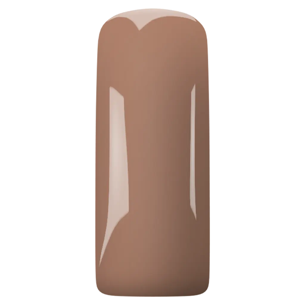 Magnetic Gelpolish Brown 6