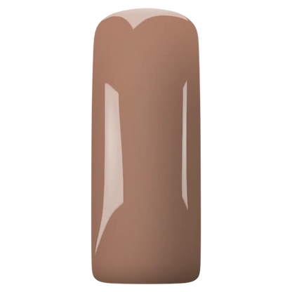Magnetic Gelpolish Brown 6