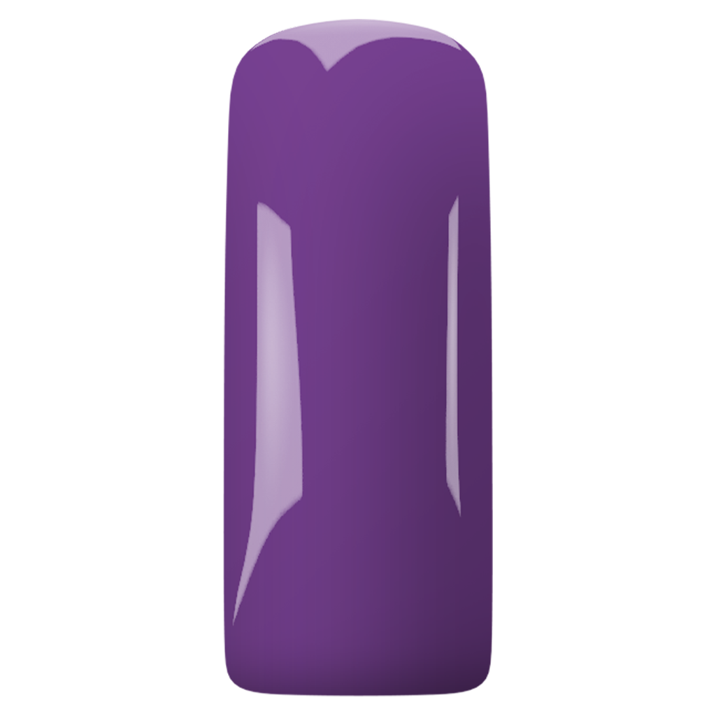 https://www.magneticnaildesign.com/media/catalog/product/6/0/600118_purple_12.png