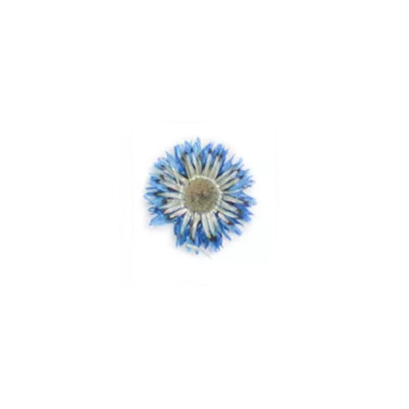 https://cdn.myonlinestore.eu/93ee00cb-6be1-11e9-a722-44a8421b9960/image/cache/full/738267ef112206ed0c0a55e6ffcec6c0b66202b3.jpg?20260521105409