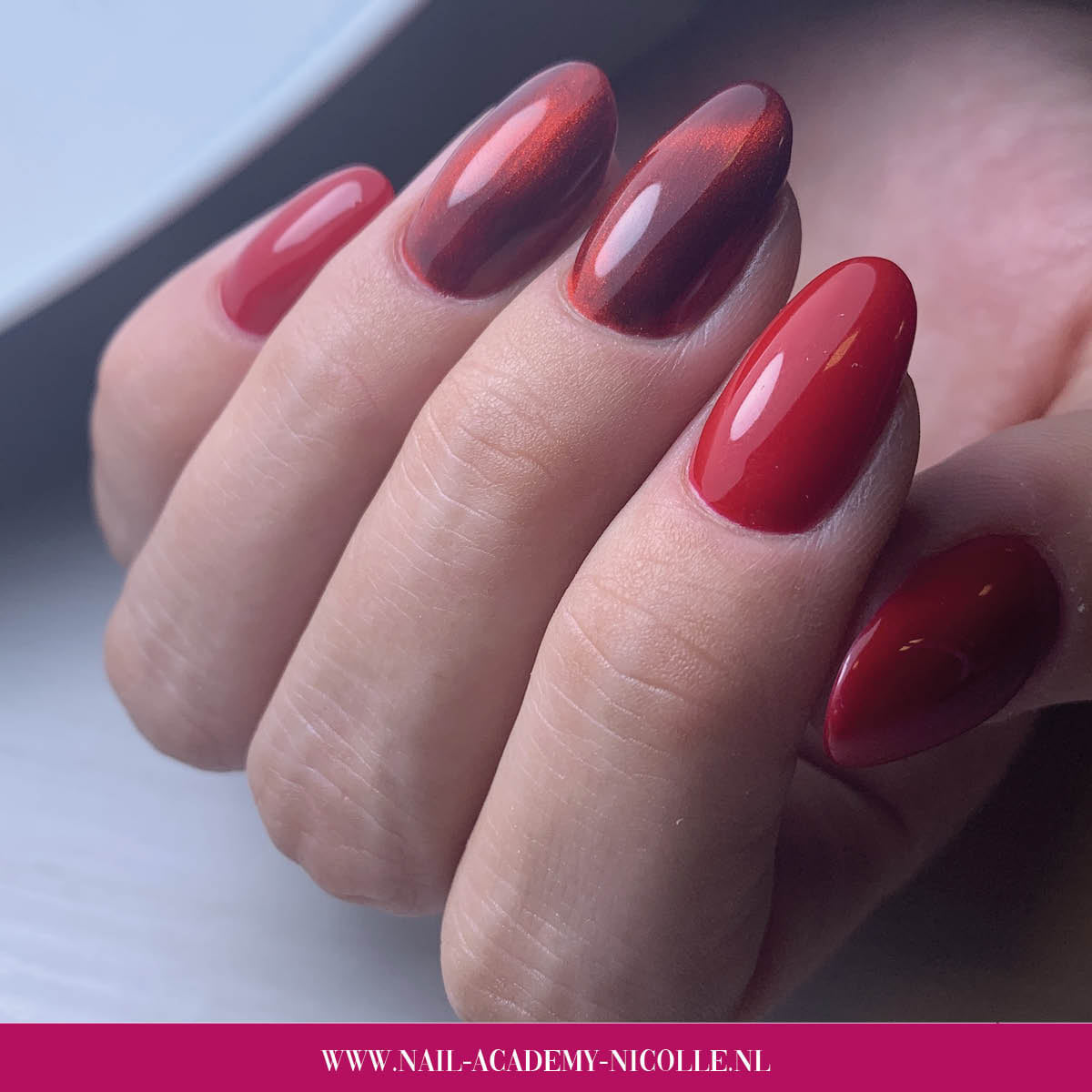 https://www.magneticnaildesign.com/media/wysiwyg/shop/Inspiratie/103005Beaujolais/Nicolle_Eshuis-Stam.jpeg