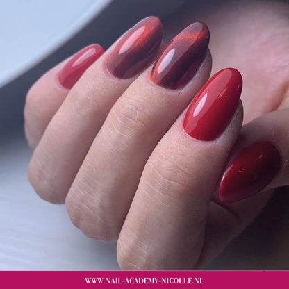https://www.magneticnaildesign.com/media/wysiwyg/shop/Inspiratie/103005Beaujolais/Nicolle_Eshuis-Stam.jpeg