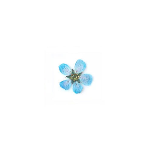 https://cdn.myonlinestore.eu/93ee00cb-6be1-11e9-a722-44a8421b9960/image/cache/full/d53544a10390dd1cd02f11e0431e2964931193bb.jpg?20260521105409