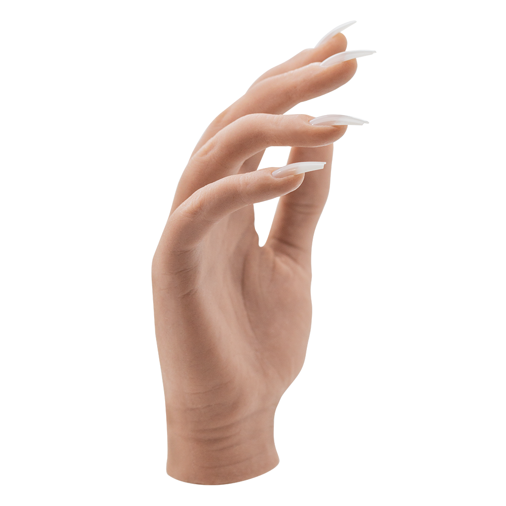 Your Perfect Hand Model Full Hand Light
