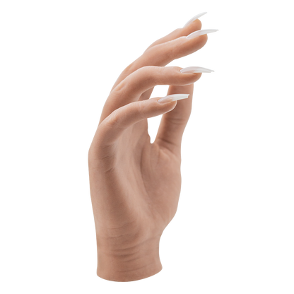 Your Perfect Hand Model Full Hand Light