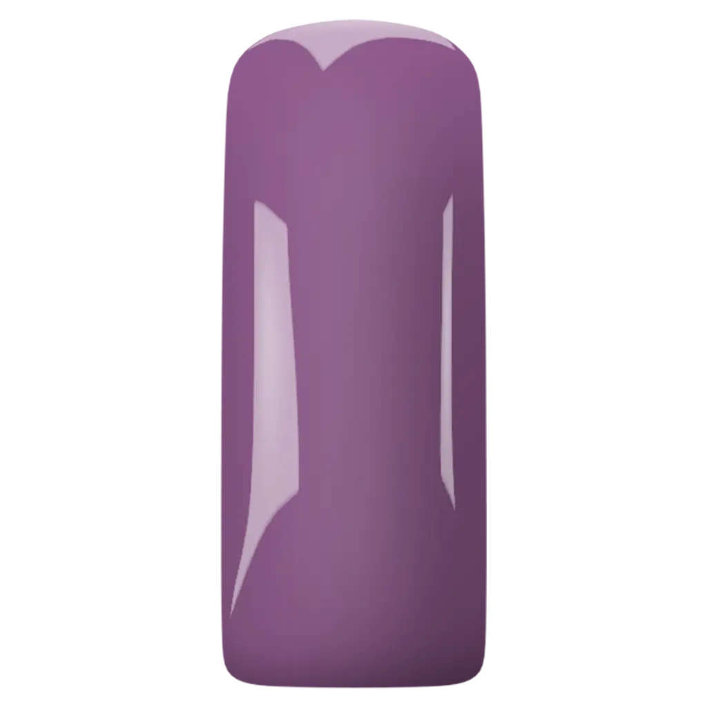 Magnetic Gelpolish Purple 1