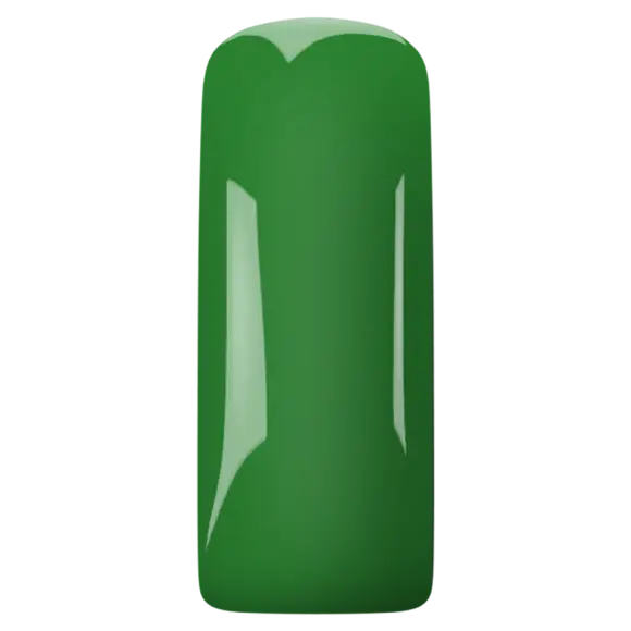 Magnetic Gelpolish Green 1
