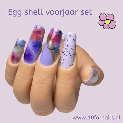 TFN Egg shell voorjaar  voordeelkit