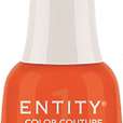 Entity color couture Electric you